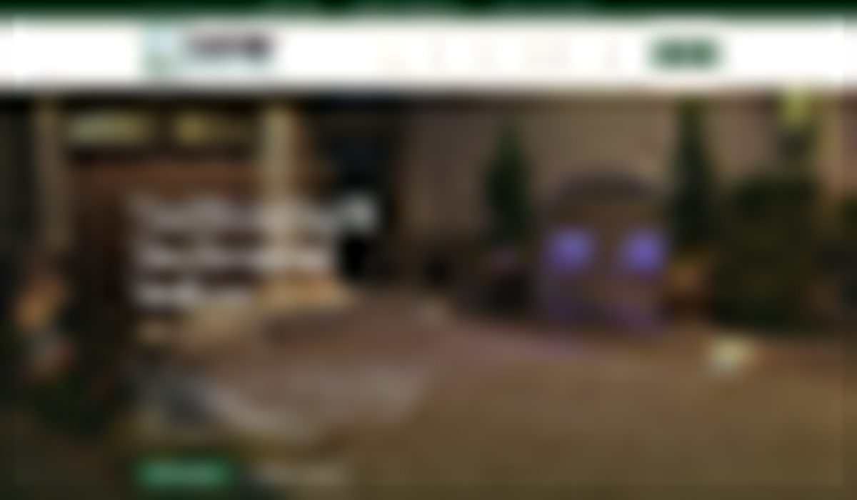 Blurred preview of an in-progress landscaping company website